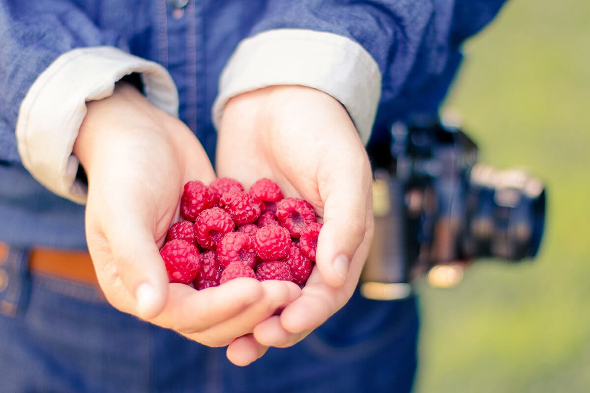 Raspberry Picking